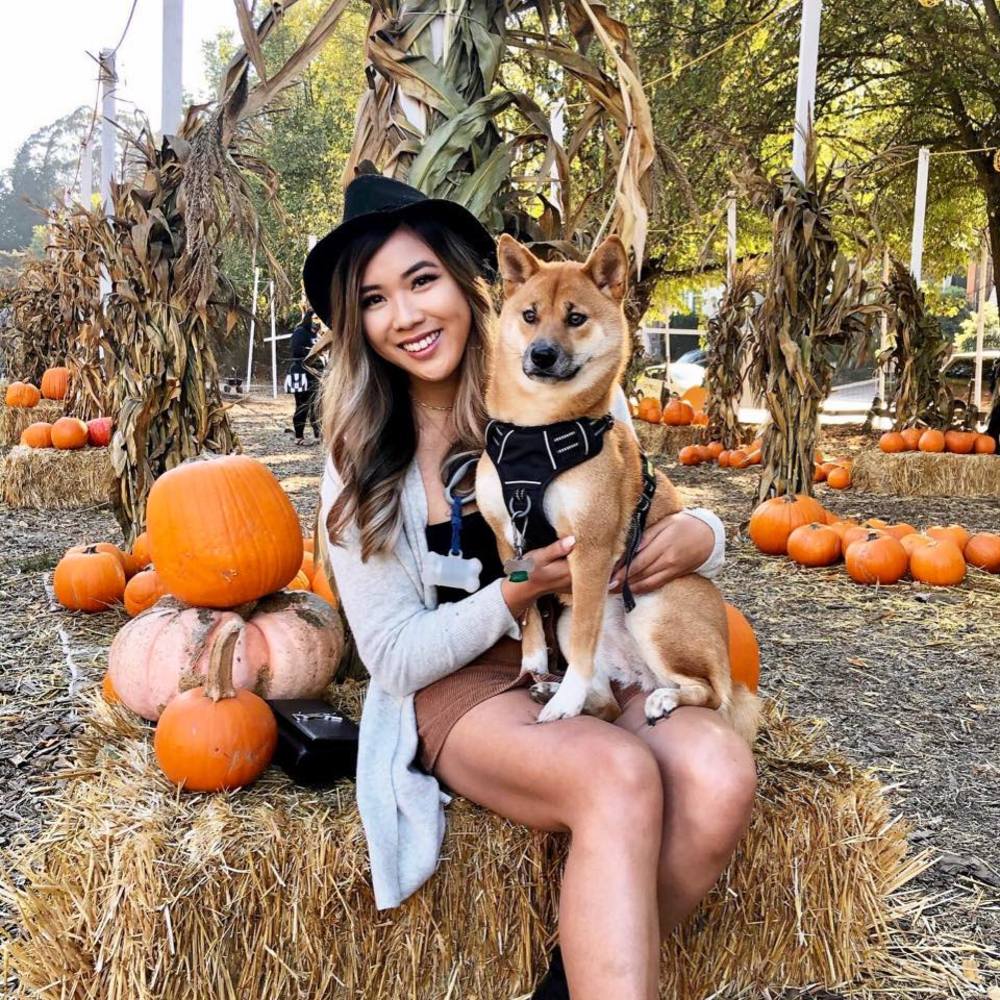 Meet your Posher, Lily